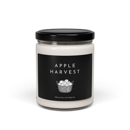 Clean Cotton Scented Soy Candle - 9oz  | Aromatherapy for Home & Gifts